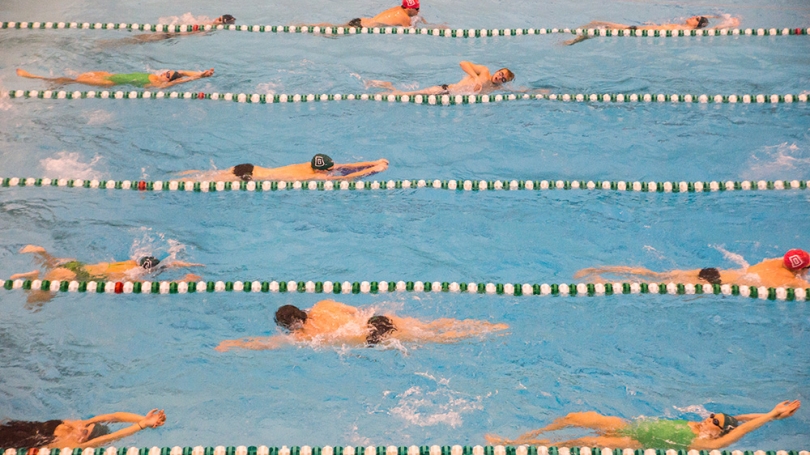 Swimmers in the pool